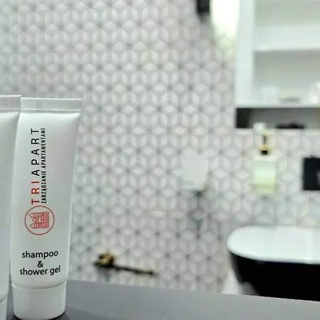 Triapart Nad Motlawa 格但斯克